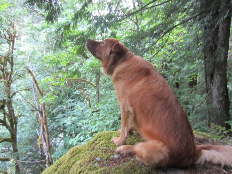 Apollo on the bluff