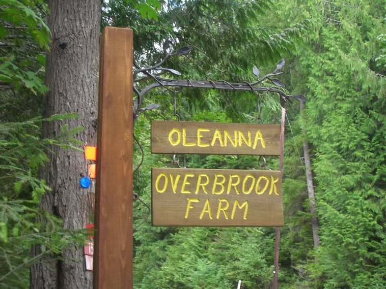 Oleanna street sign